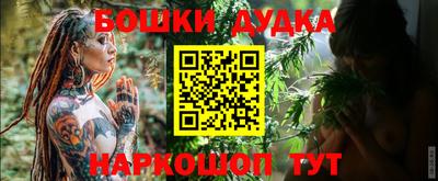 индика Нальчик