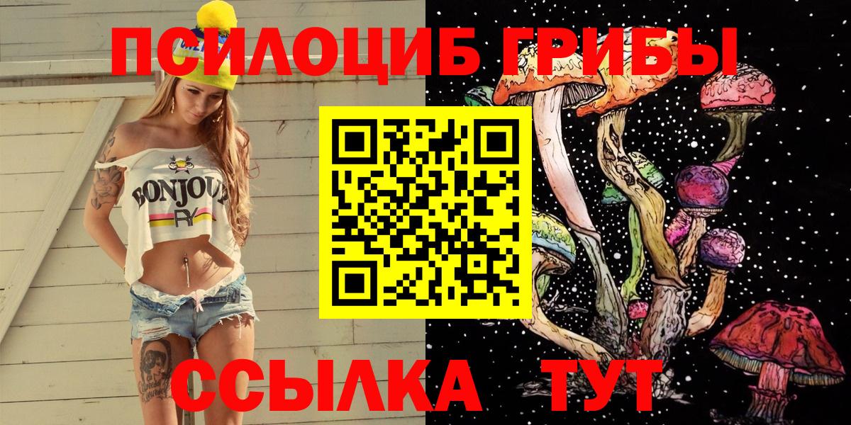 Галлюциногенные грибы Cubensis  Вход с VPN  где продают наркотики  Энгельс  Псилоцибиновые грибы Cubensis 
